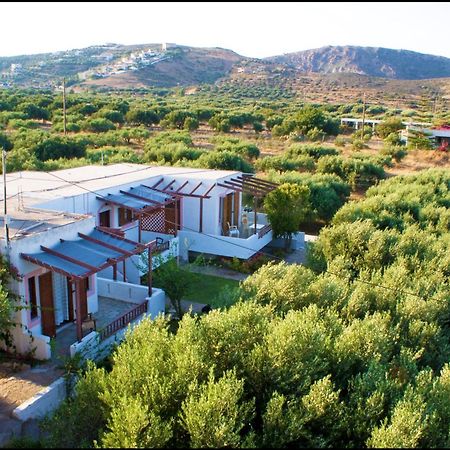 Voula'S Casa Di Mare Palekastro Exterior foto
