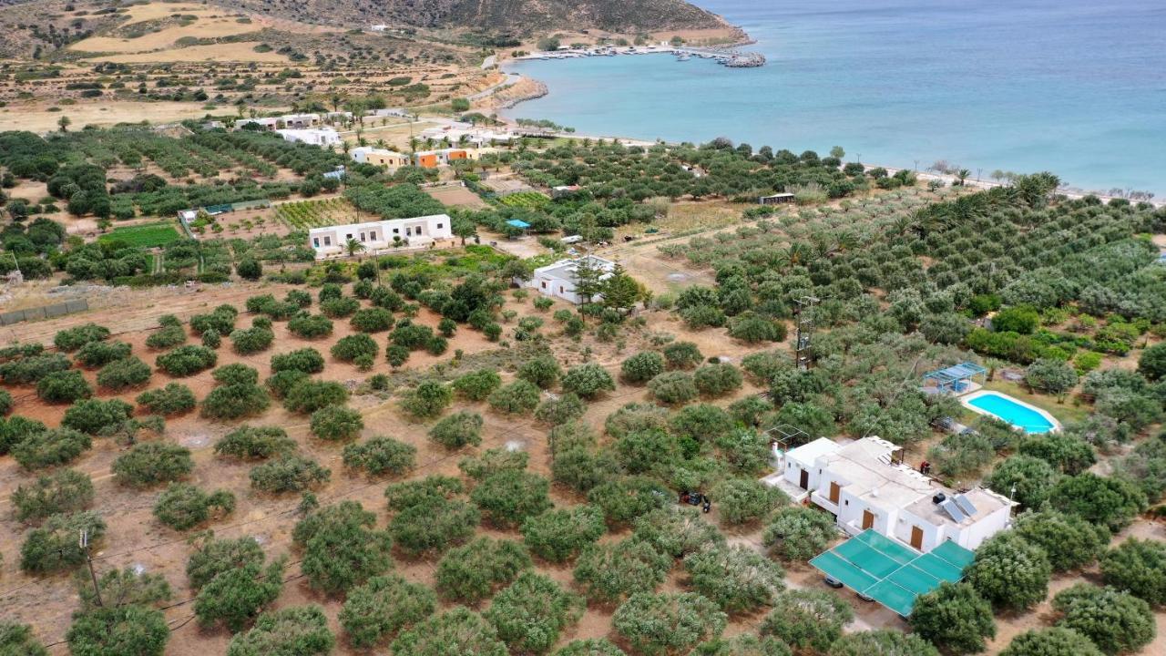 Voula'S Casa Di Mare Palekastro Exterior foto