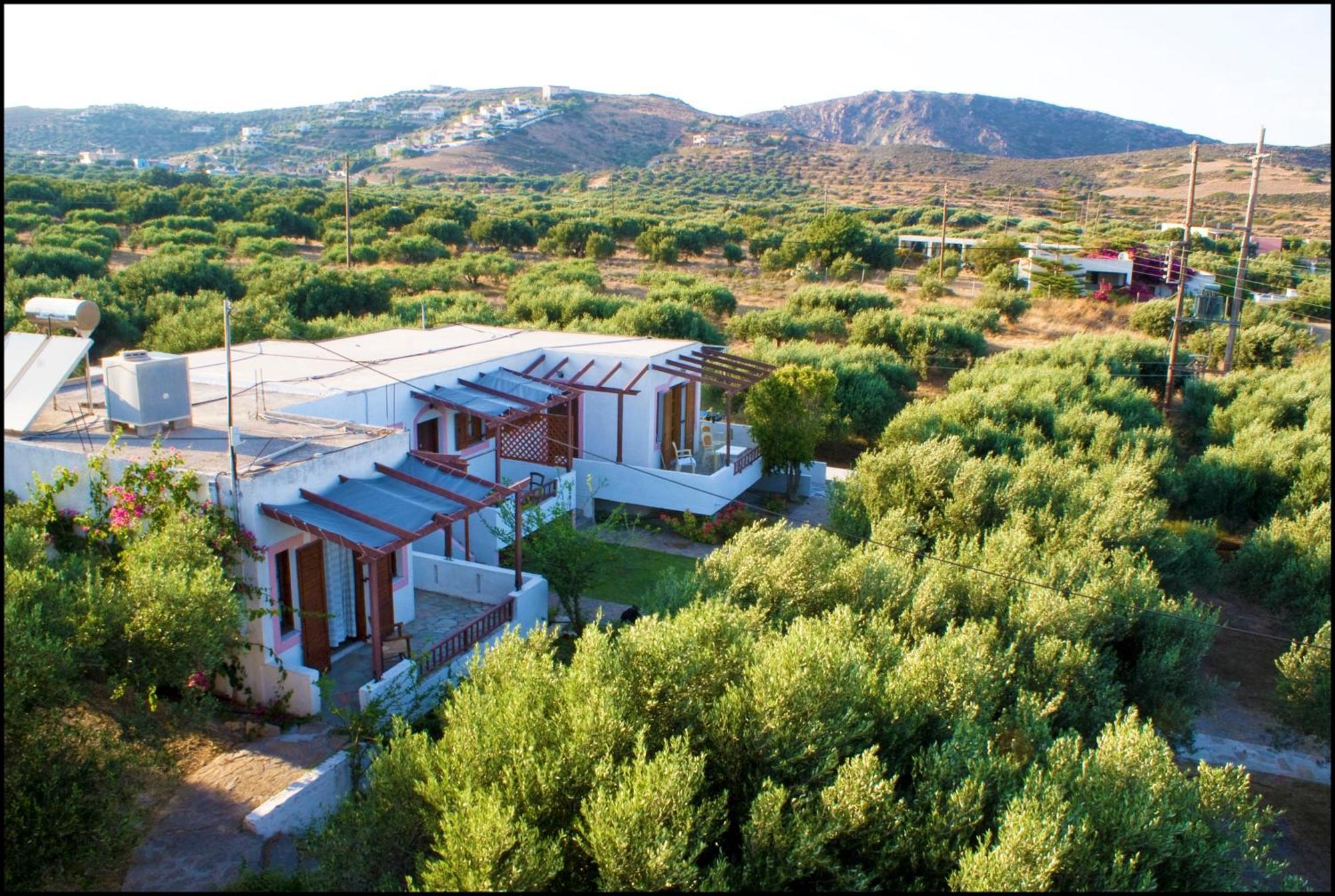 Voula'S Casa Di Mare Palekastro Exterior foto